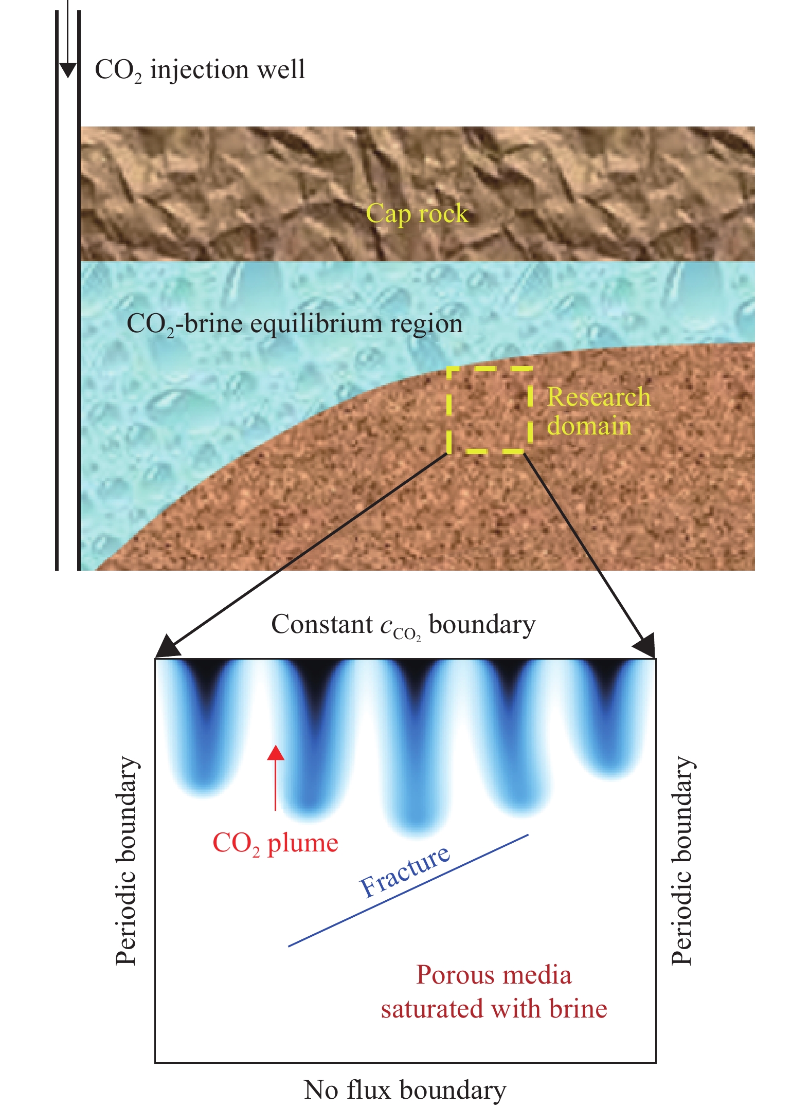裂缝性咸水层物理模型及边界条件（$c_{{mathrm{CO}}_2} $为CO2(aq)浓度，mol·m−3）