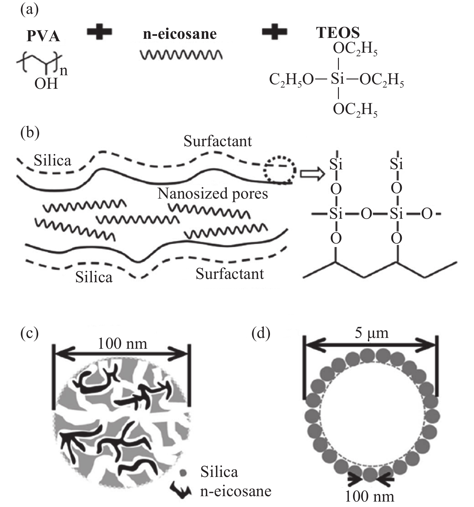 烷烃混合物分子在不同孔尺寸中可能的堆积示意图。（a）SBA–15中的二维结构的孔；（b）CPG中的三维结构的孔[51]