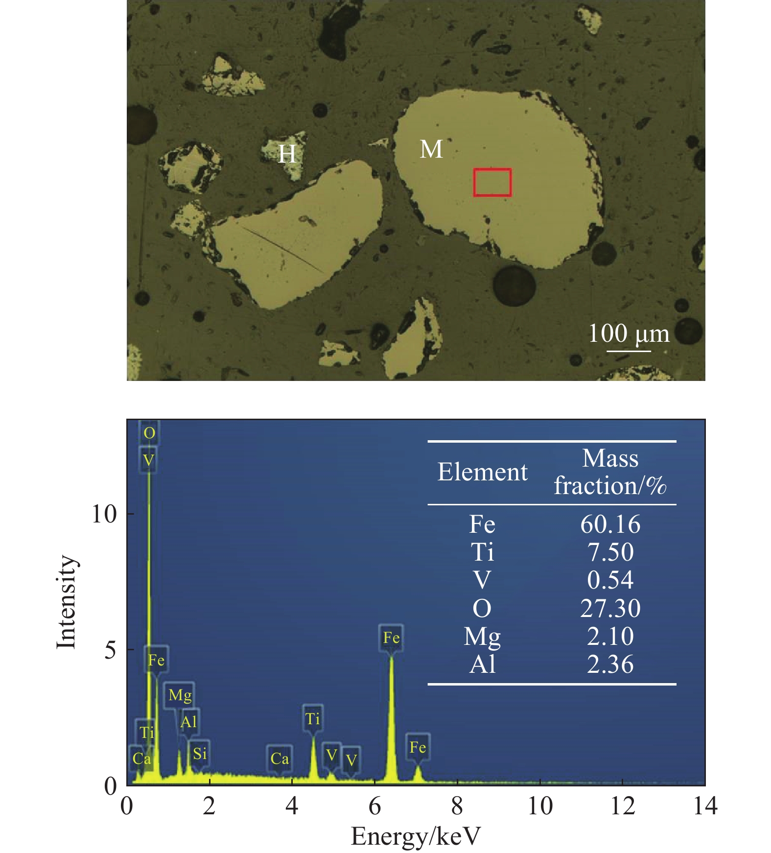 图                     致密均匀的板状钛磁铁矿扫描电镜及能谱