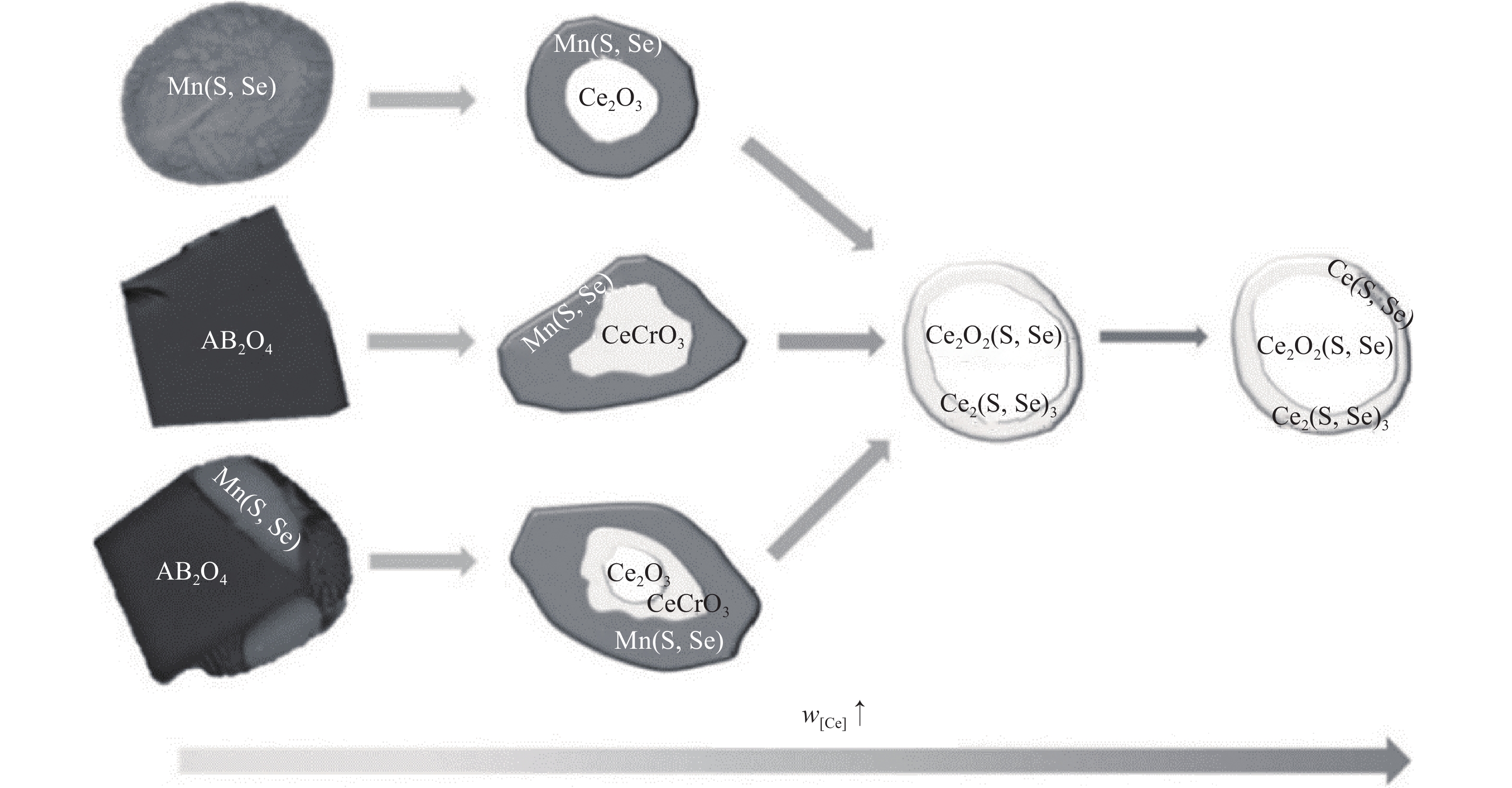 添加稀土元素Ce后CoCrFeMnNi高熵合金中非金属夹杂物的转变[63]